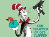 cat with the gat