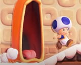 Paper Mario Fans See Toad