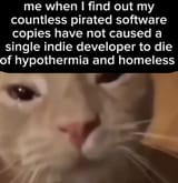 cat