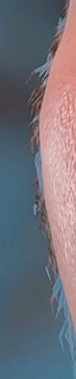 1727999395739202