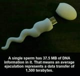 tpo4xdzydv551