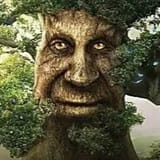 wise mystical tree