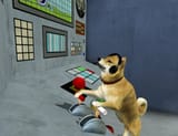 sh2 dog