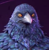 DAV_crow-face