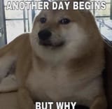 1743376514514022