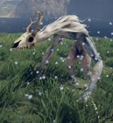 Furry