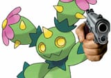 maractus gun