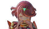 PyraBorgar