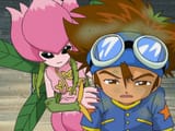 lillymon taichi
