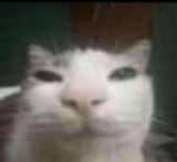 1748301255184974