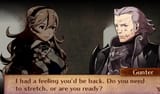 fef_femcorrin_gunter