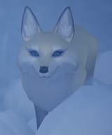 dumb ass fox