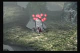 red15_jpg(1)