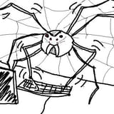 totallynotaspider