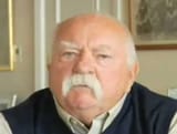 beetus