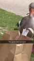 goose2_thumb.jpg
