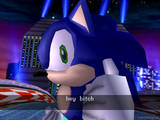 sonic hey bitch