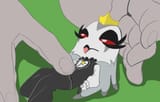 petting stella