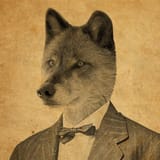 wolfsuit