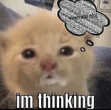 1751413922399225