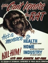 Alberta_Department_of_Public_Health_Rat_Poster_(26497442131)