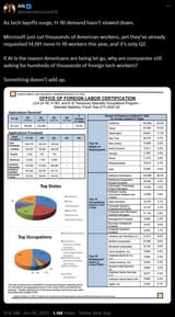 microsoft h1b visas