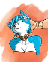 pet the vixen