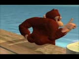 donkey