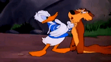 Donald tells (you) to fuck off