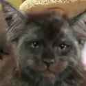 Khajit has wares_thumb.jpg