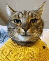 132462