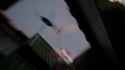 trepang_thumb.jpg