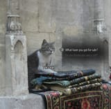 Khajiit Merchant