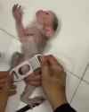 1729090264986570_thumb.jpg