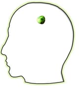 Pea Brain