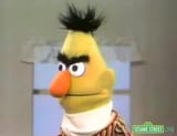 Bert