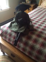 doll on bed