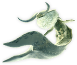 3rdGen-Ceadeus_Render_001