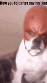 dog-daredevil