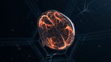 1751436400915448.gif