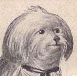 1602886640753