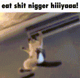 1750771751726804