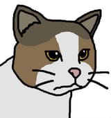 feels bad cat