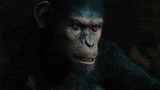 planet-of-the-apes-caesar