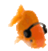 1662947750690207