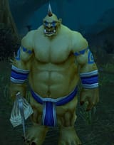 35209-splinter-fist-ogre
