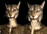 SepLnUp_Khajiit_a1&amp;c1-2471580906