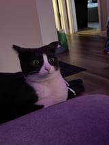 3y8uvb4hjq8f1