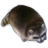 1615714376552