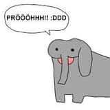 pr test_0001